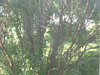 [DSC01865.jpg]