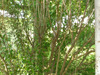 [DSC01866.jpg]