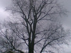 [SUNP0002.jpg]