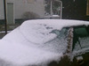 [snow1.jpg]