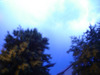 [DSC01890.jpg]