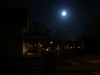 [DSC01831.jpg]