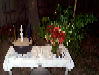 [altar1.jpg]