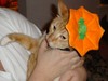[Ra_Halloween2.jpg]