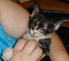[dsc00490.jpg]