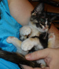 [dsc00491.jpg]