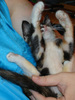 [dsc00493.jpg]