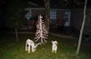 [dsc00108.jpg]