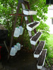 [DSC01859.jpg]